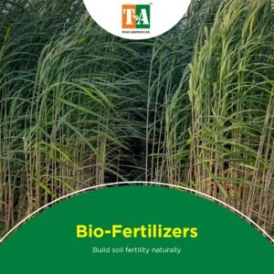 Bio-Fertilizers