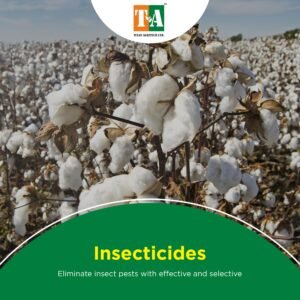 Insecticides