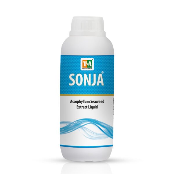 Seaweed Liquid 20%