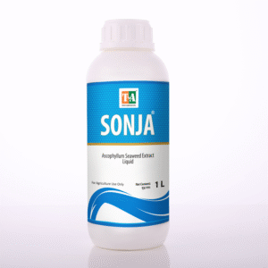 SONJA