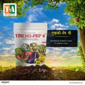 Trichoderma viride 1.5% W.P