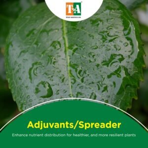 Adjuvants