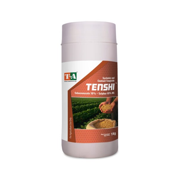 TENSHI