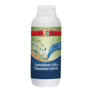 Cyantraniliprole 19.8% + Thiamethoxam 19.8% FS
