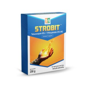 Tebuconazole 50% + Trifloxystrobin 25% WG
