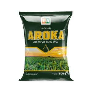 Aroka