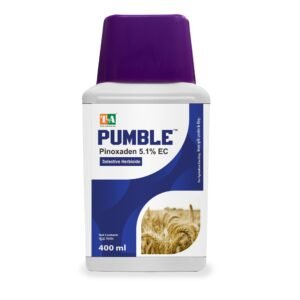 Pumble  (Pinoxaden 5.1% EC)