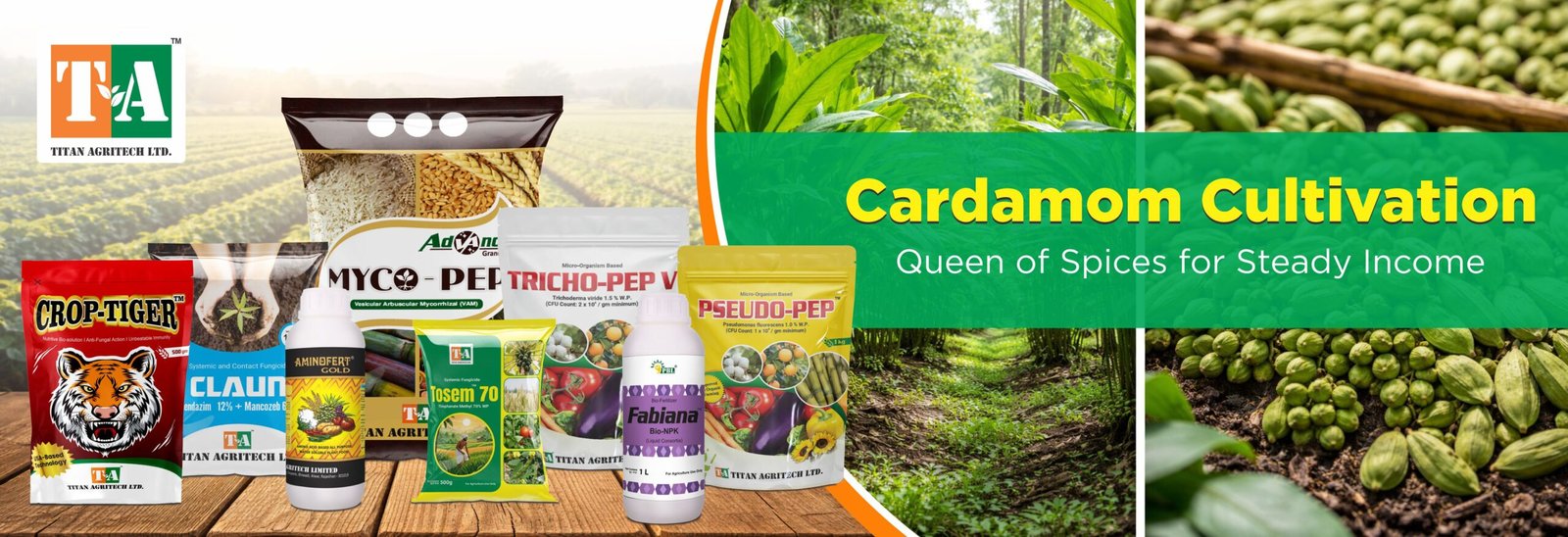 Cardamom farming – Queen of Spices for Steady Income