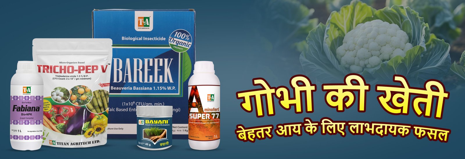 गोभी की खेती – बेहतर आय के लिए लाभदायक फसल