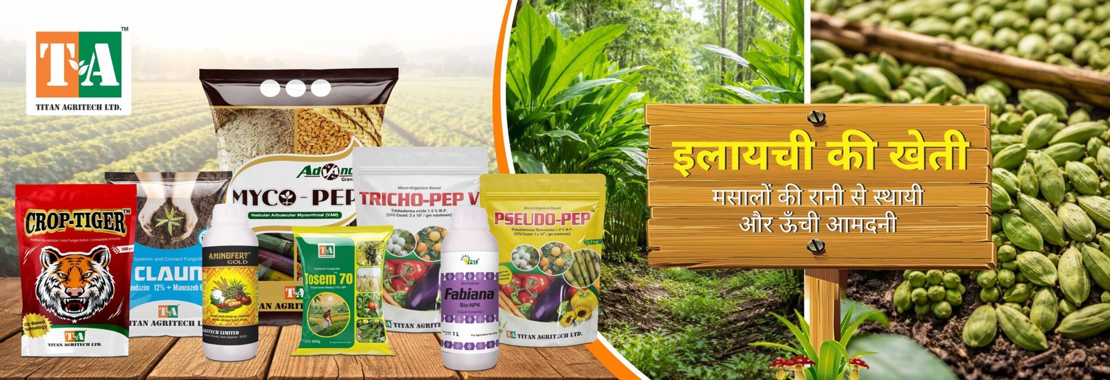 इलायची की खेती (Elaichi Ki Kheti) – मसालों की रानी से स्थायी और ऊँची आमदनी