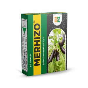 MERHIZO (Metarhizium Anisopliae 1 % W.P)