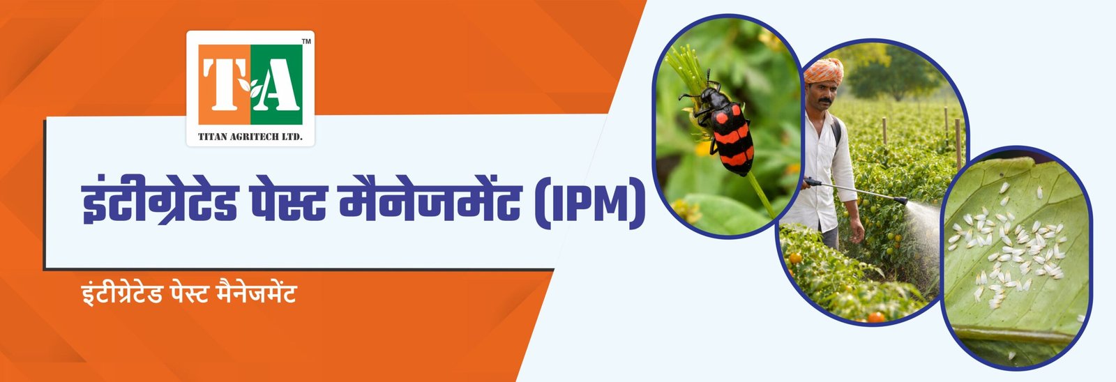 इंटीग्रेटेड पेस्ट मैनेजमेंट (IPM): फसल बचाने का आधुनकि तरीका