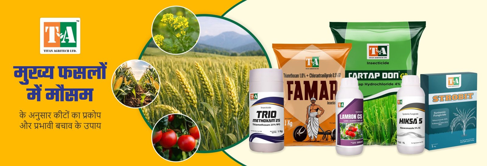 मुख्य फसलों में मौसम के अनुसार कीटों का प्रकोप और प्रभावी बचाव के उपाय