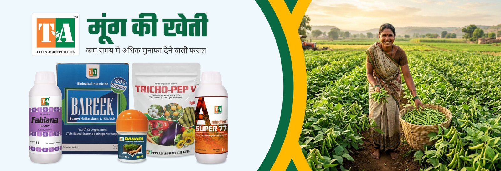 मूंग की खेती – कम समय में अधिक मुनाफा देने वाली फसल