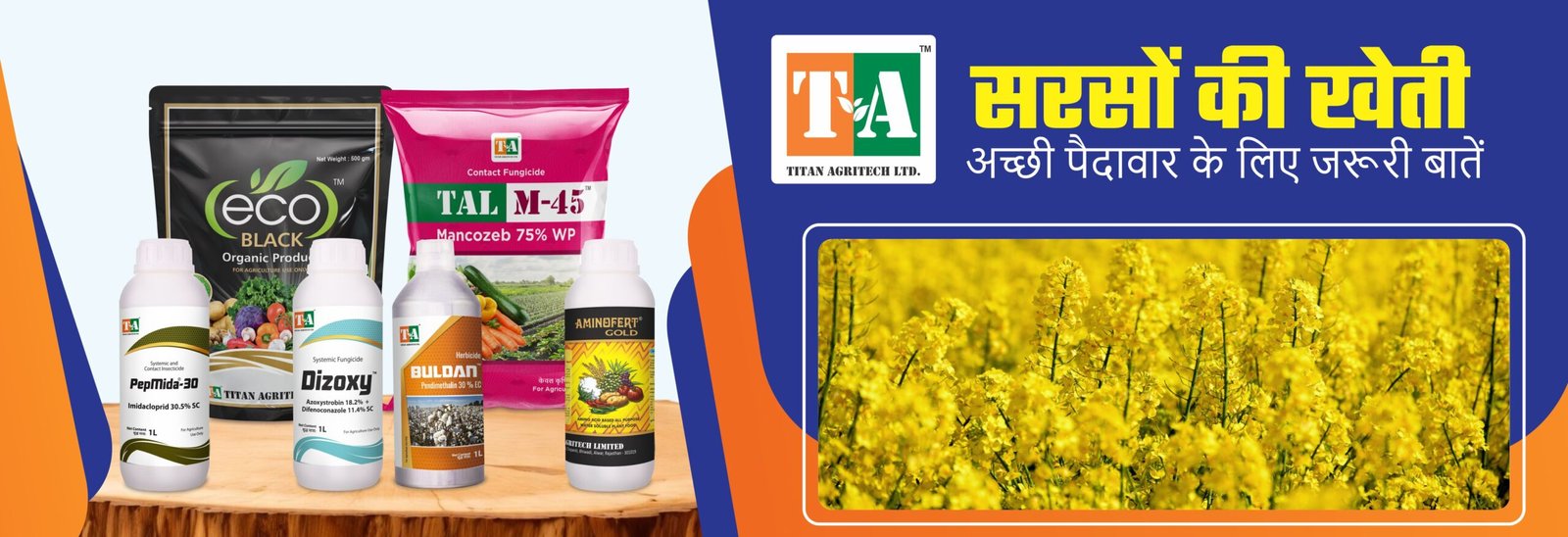 सरसों की खेती: अच्छी पैदावार के लिए जरूरी बातें