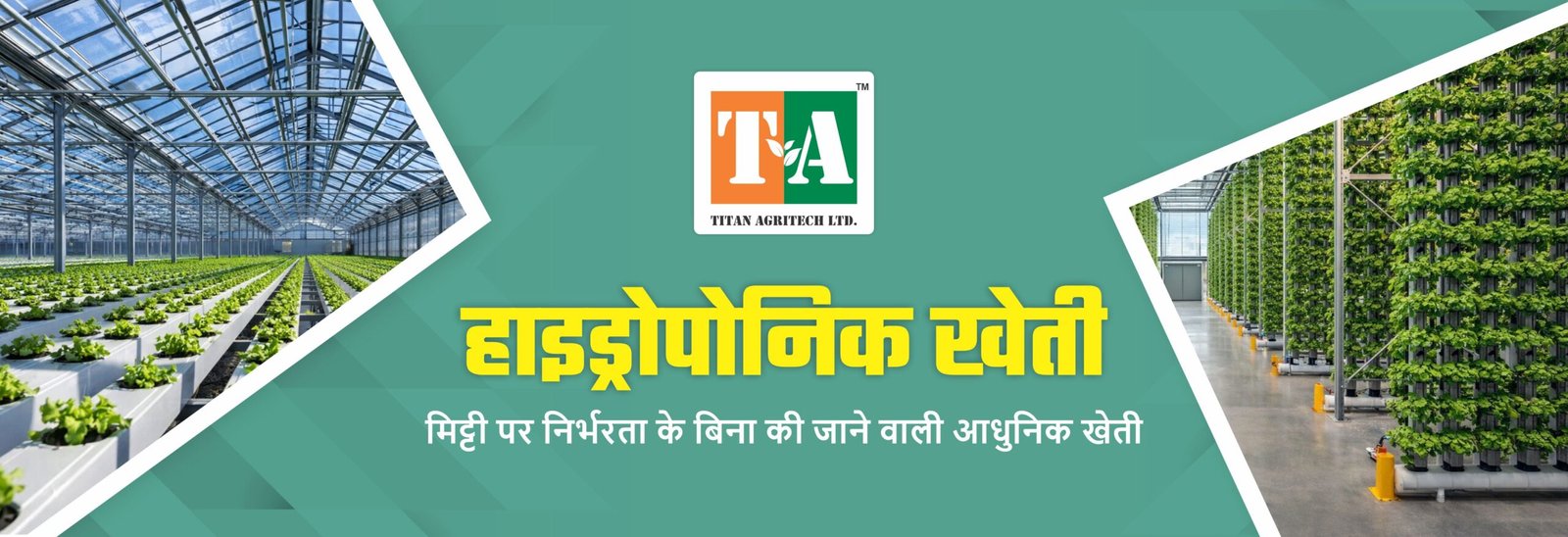 हाइड्रोपोनिक खेती: मिट्टी पर निर्भरता के बिना की जाने वाली आधुनिक खेती