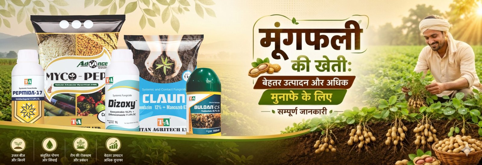 मूंगफली की खेती: बेहतर उत्पादन और अधिक मुनाफे के लिए सम्पूर्ण जानकारी