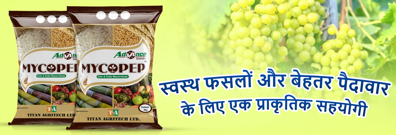 Mycorrhiza GR क्या है? जानें इसके फायदे, उपयोग और असर