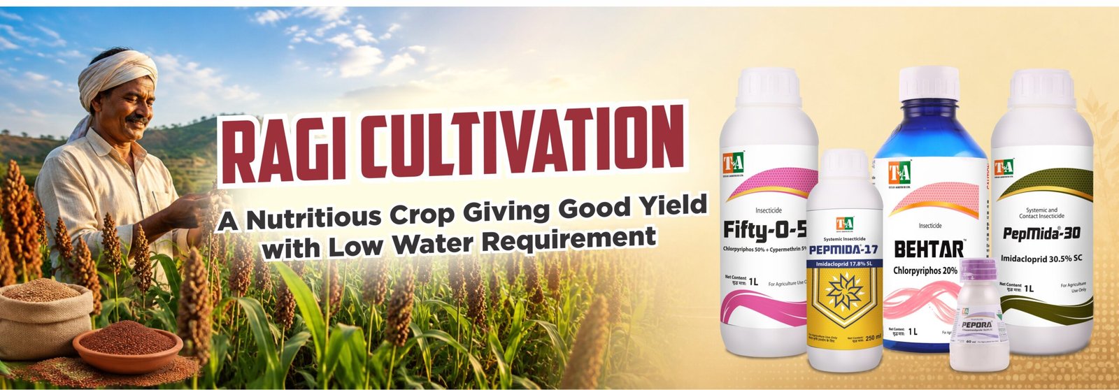 Ragi Cultivation: A Nutritious Crop Giving Good Yield with Low Water Requirement