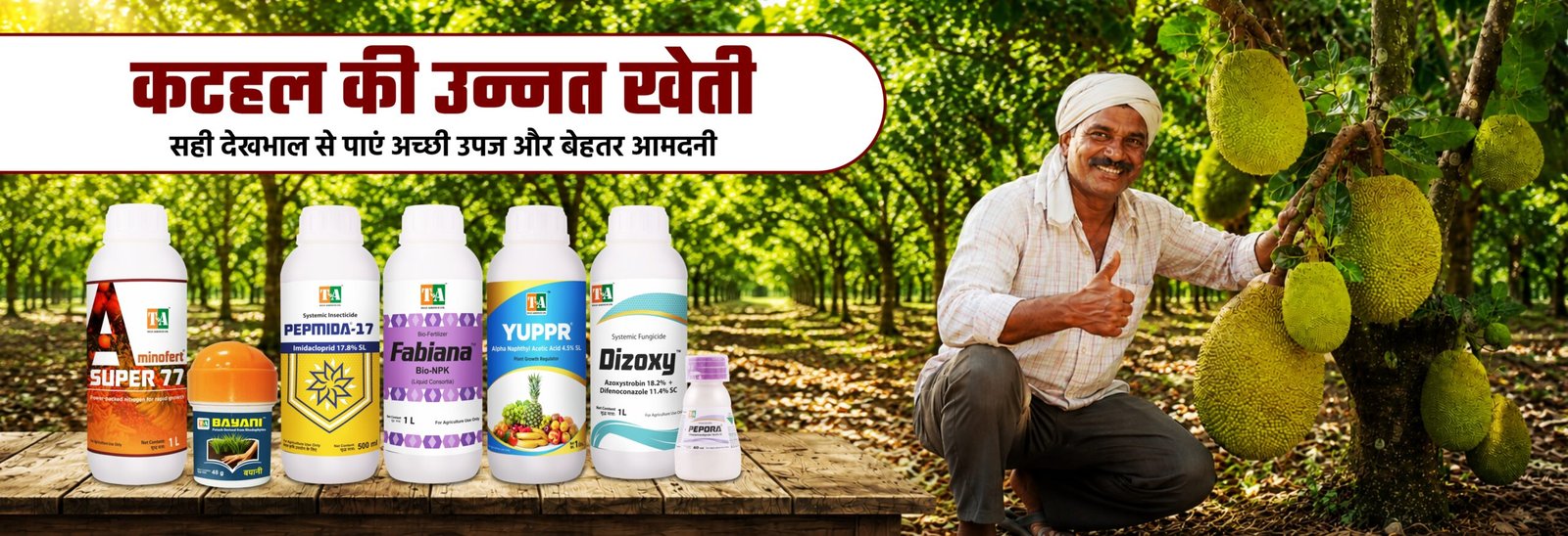 कटहल की उन्नत खेती: सही देखभाल से पाएं अच्छी उपज और बेहतर आमदनी