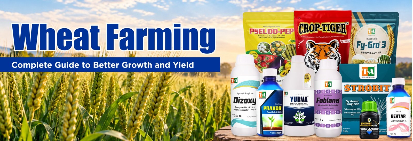 Wheat Farming: A Complete Guide to Better Growth and Yield